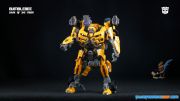 DOTM Bumblebee